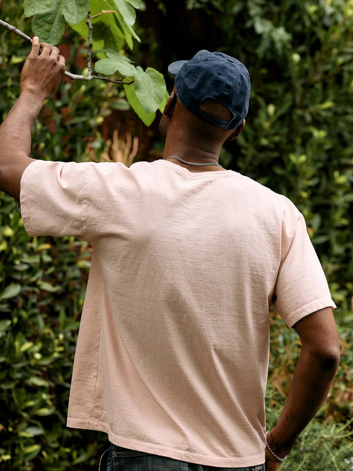 Imogene + Willie Knit Box Crew - Faded Pink